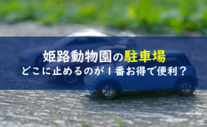 姫路市立動物園をレビュー 駐車場や無料開放の秘密は 一条工務店とイツキのブログ