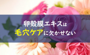 卵殻膜はシミに効果ない 口コミで分かる真実を暴露 一条工務店とイツキのブログ